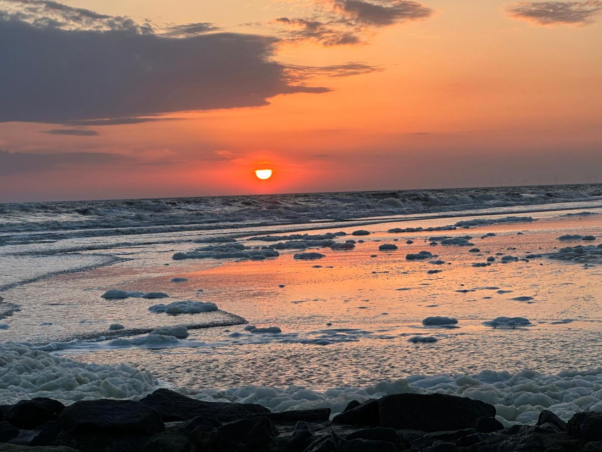 Wangerrose - Familienwohnung Fuer Gross Und Klein Und Hundefreunde Wangerooge Exteriör bild